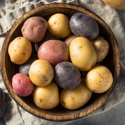 Seed Potatoes